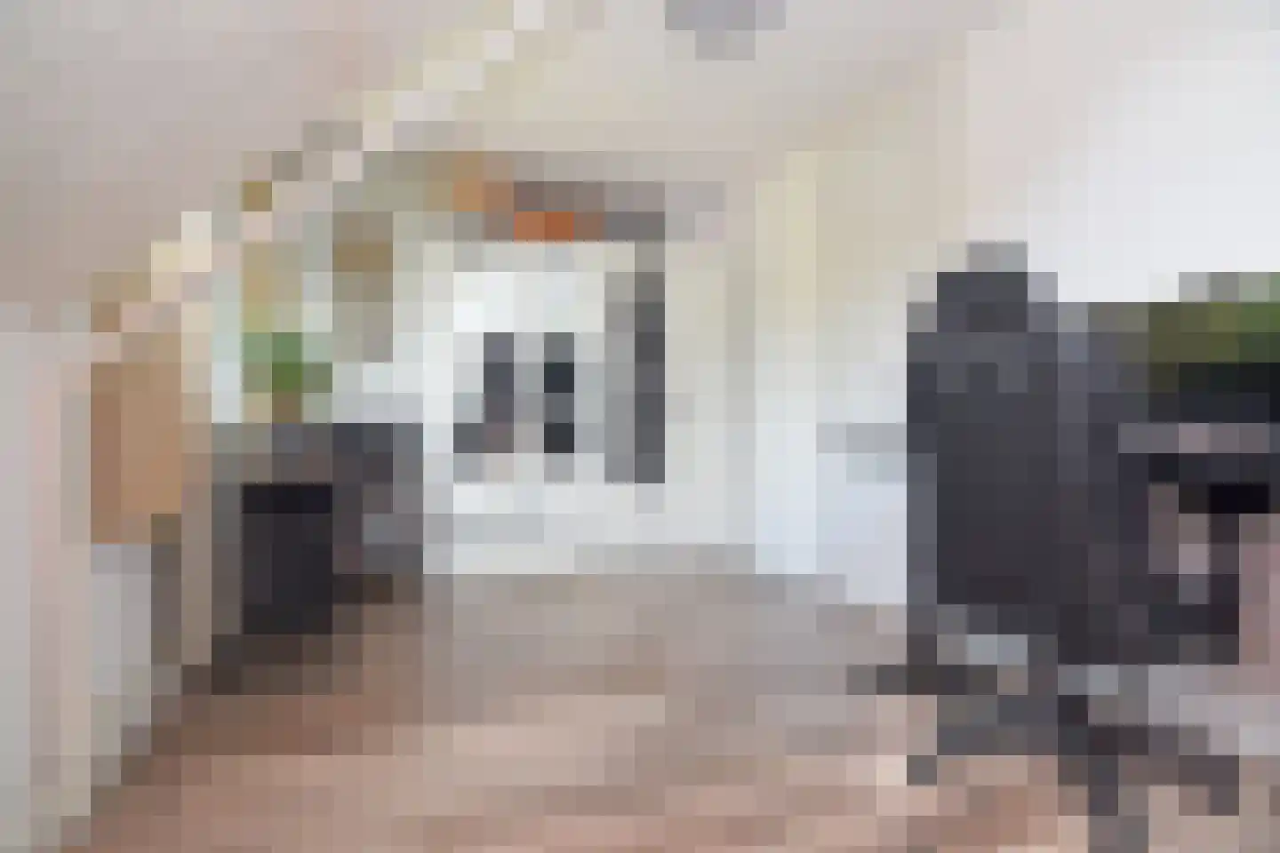 Reigersbek 11 Maartensdijk thumbnail 17
