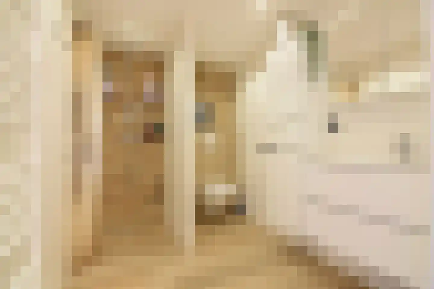 Reigersbek 11 Maartensdijk thumbnail 21