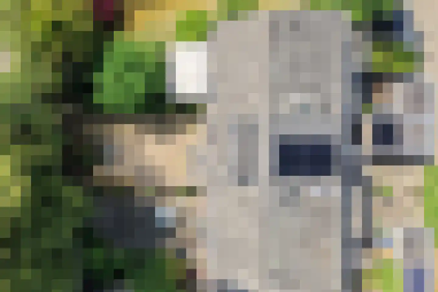 Reigersbek 11 Maartensdijk thumbnail 31