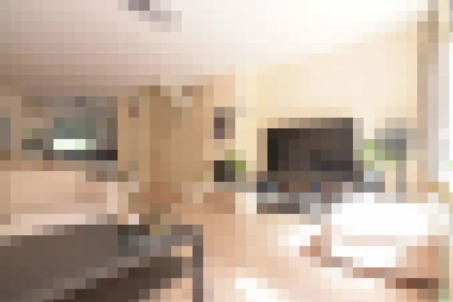 Reigersbek 11 Maartensdijk thumbnail 5