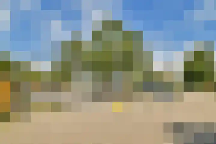 Reigersbek 18 Purmerend thumbnail 26
