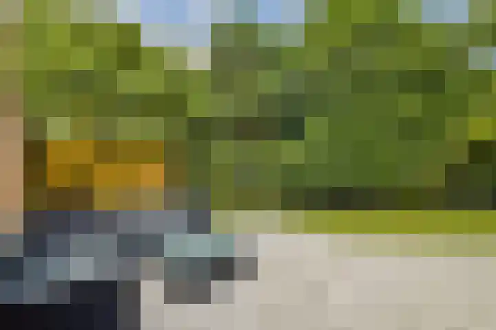 Reigersbek 18 Purmerend thumbnail 4