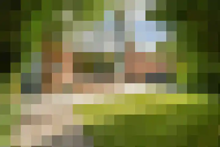 Reigersbek 18 Purmerend thumbnail 5