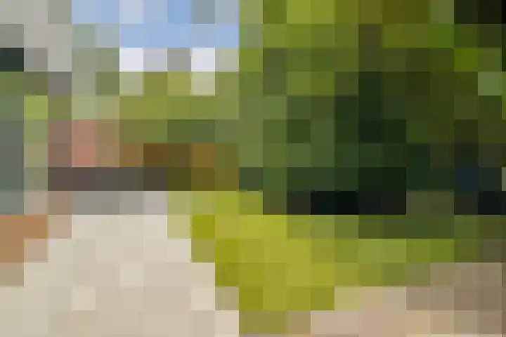 Reigersbek 18 Purmerend thumbnail 6