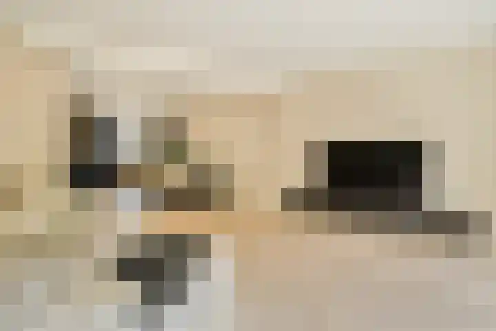 Reigersbek 18 Purmerend thumbnail 9