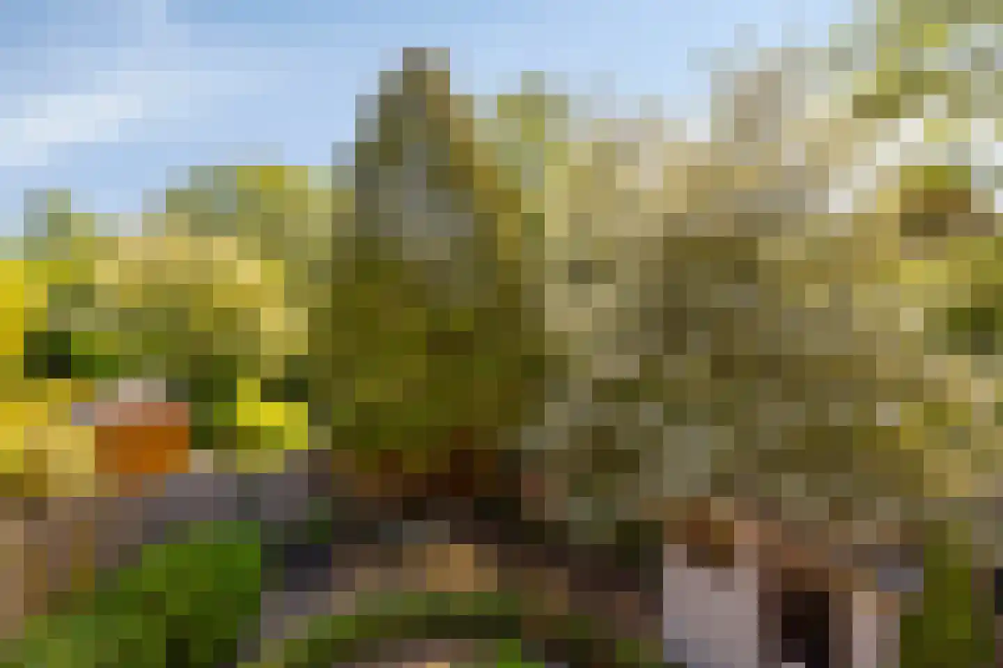 Reigersbek 26 Purmerend thumbnail 41