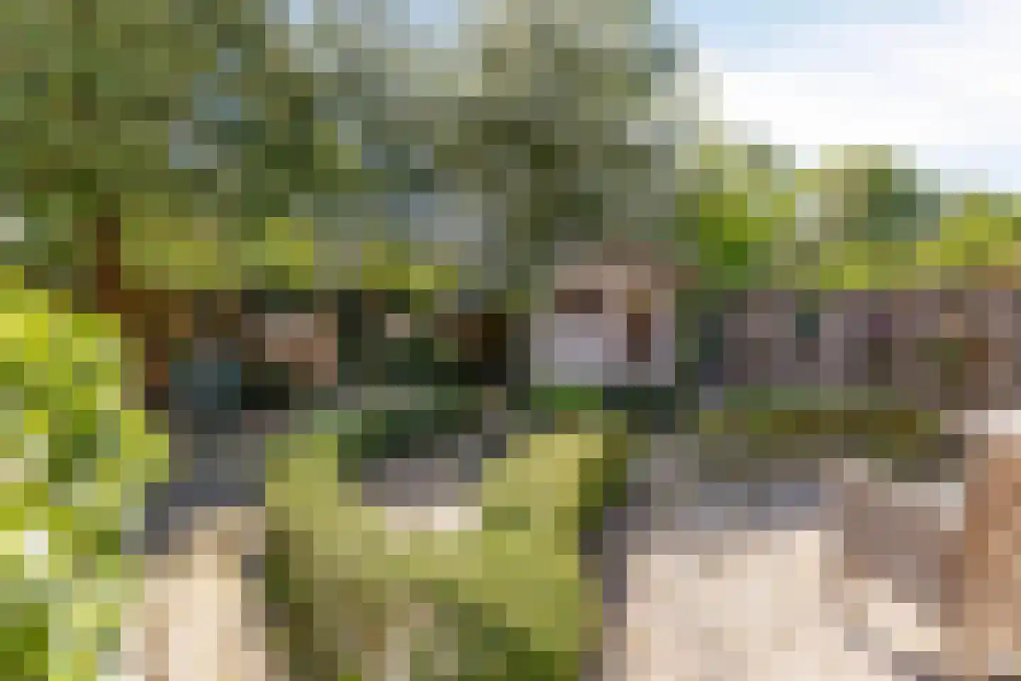 Reigersbek 26 Purmerend thumbnail 47