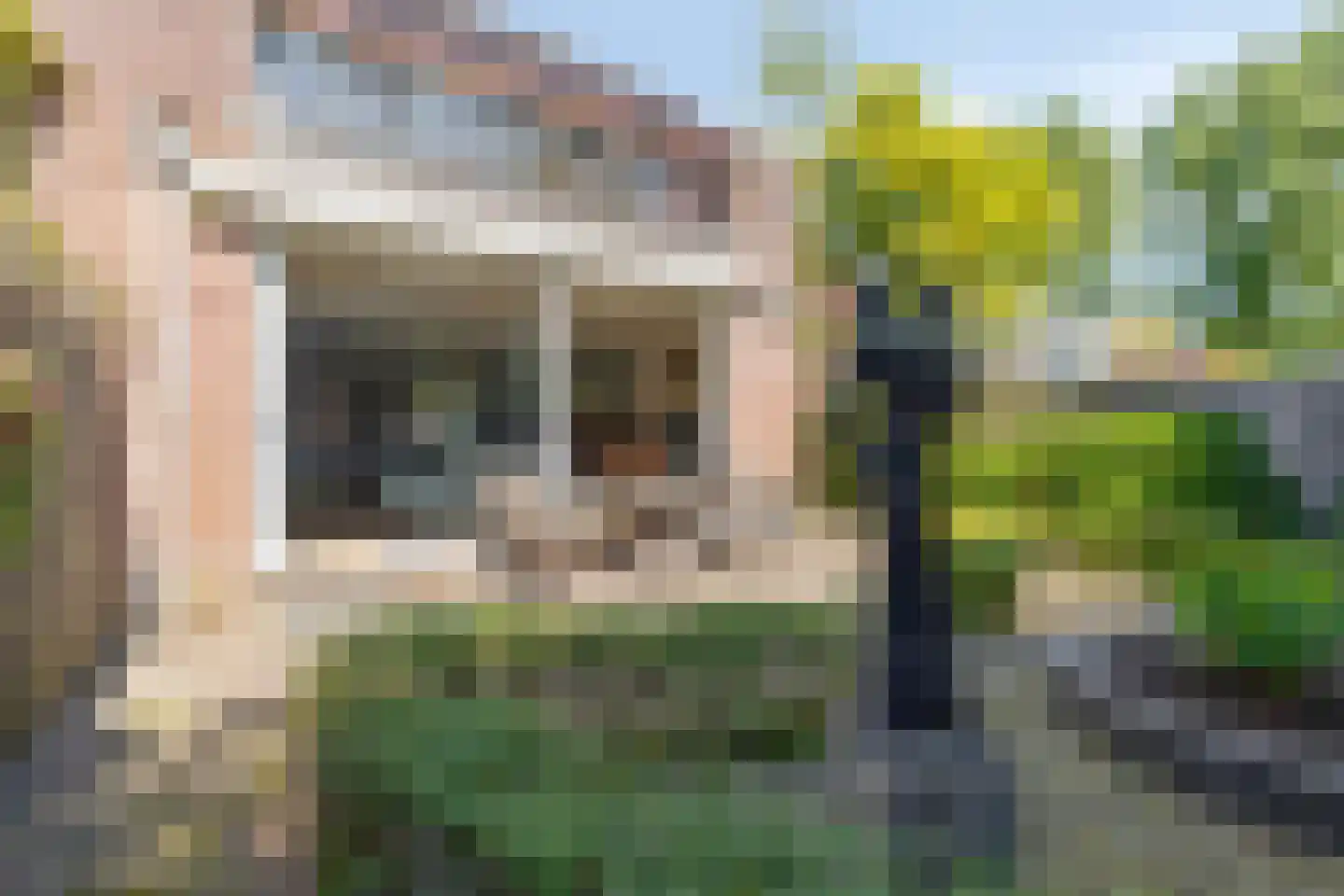 Reigersbek 26 Purmerend thumbnail 5