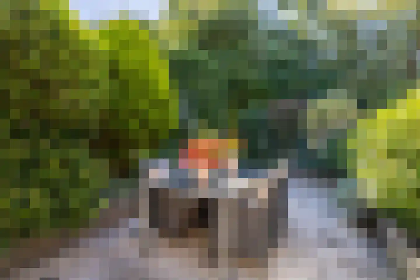 Reigersbek 30 Purmerend thumbnail 32