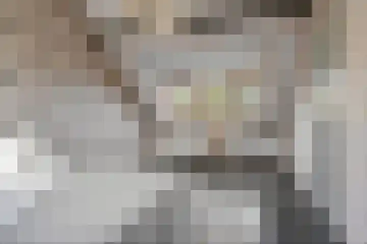 Reigersbek 33 Nieuwegein thumbnail 36