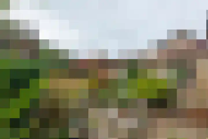 Reigersbek 33 Nieuwegein thumbnail 38
