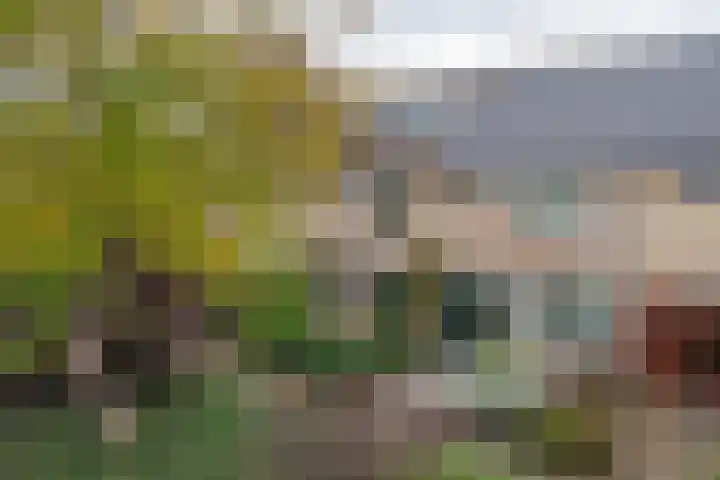 Reigersbek 33 Nieuwegein thumbnail 43