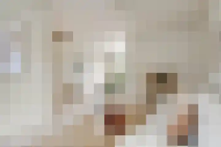 Reigersbek 33 Nieuwegein thumbnail 8