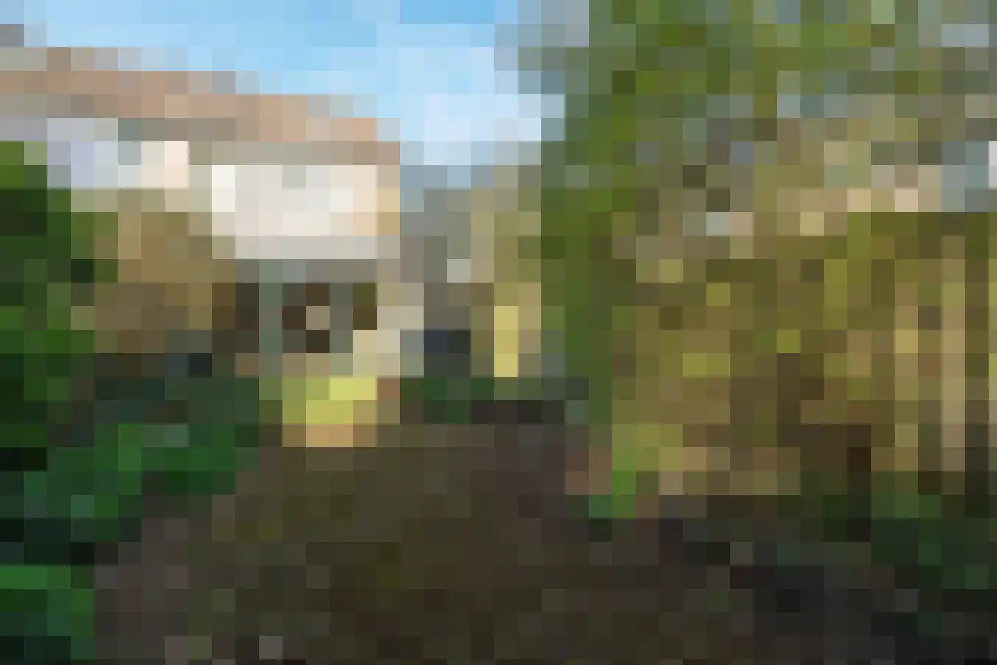 Reigersbek 78 Nieuwegein thumbnail 18