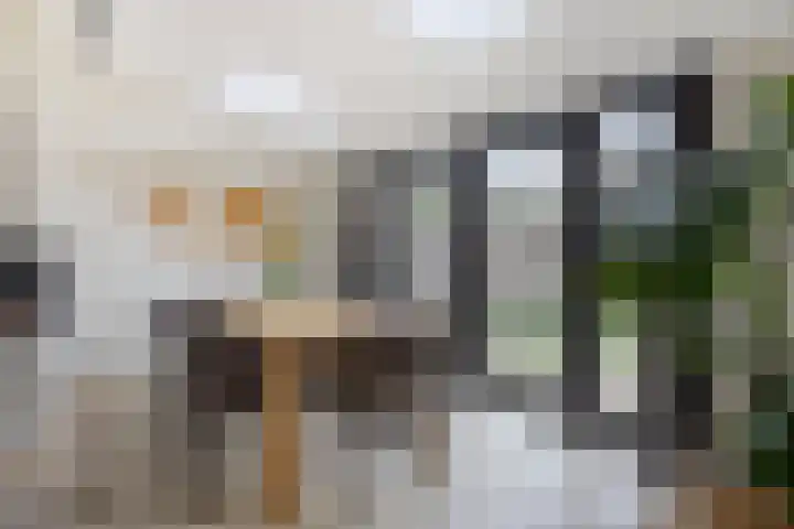 Reigersbekstraat 10 Vught thumbnail 9