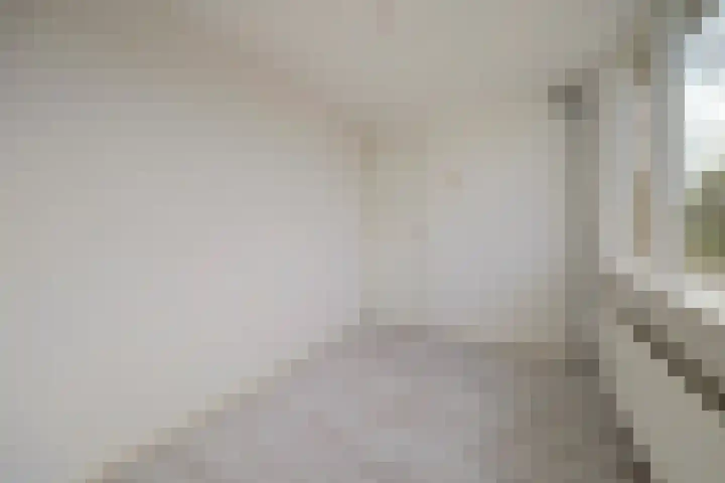 Reigersbekstraat 23 Waalwijk thumbnail 22