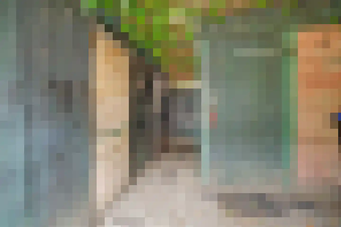 Reigersbekstraat 23 Waalwijk thumbnail 31