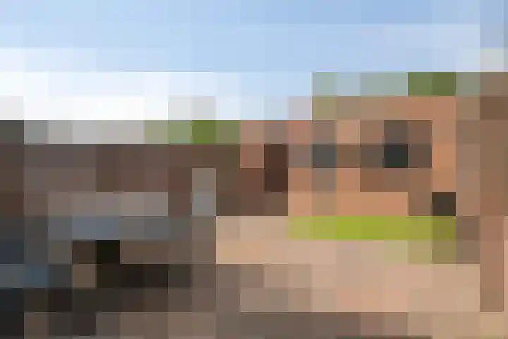 Reigersbekstraat 25 Waalwijk thumbnail 27
