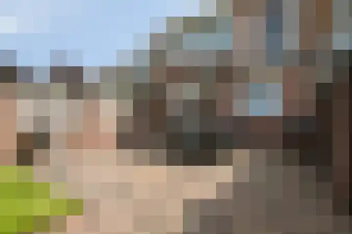 Reigersbekstraat 25 Waalwijk thumbnail 28