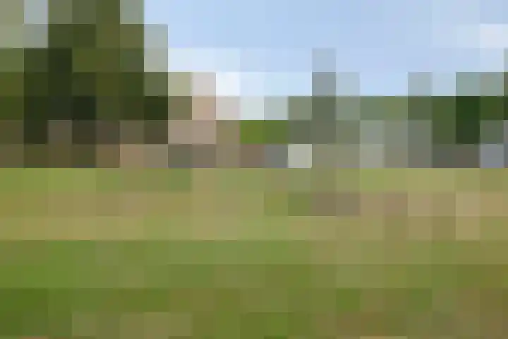 Reigersbekstraat 25 Waalwijk thumbnail 36