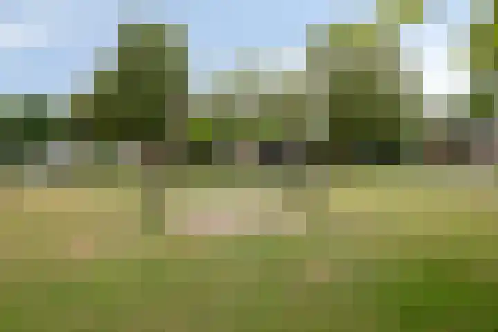 Reigersbekstraat 25 Waalwijk thumbnail 37