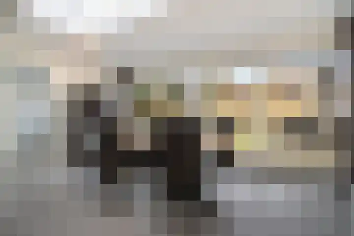 Reigersbekstraat 28 Vught thumbnail 18