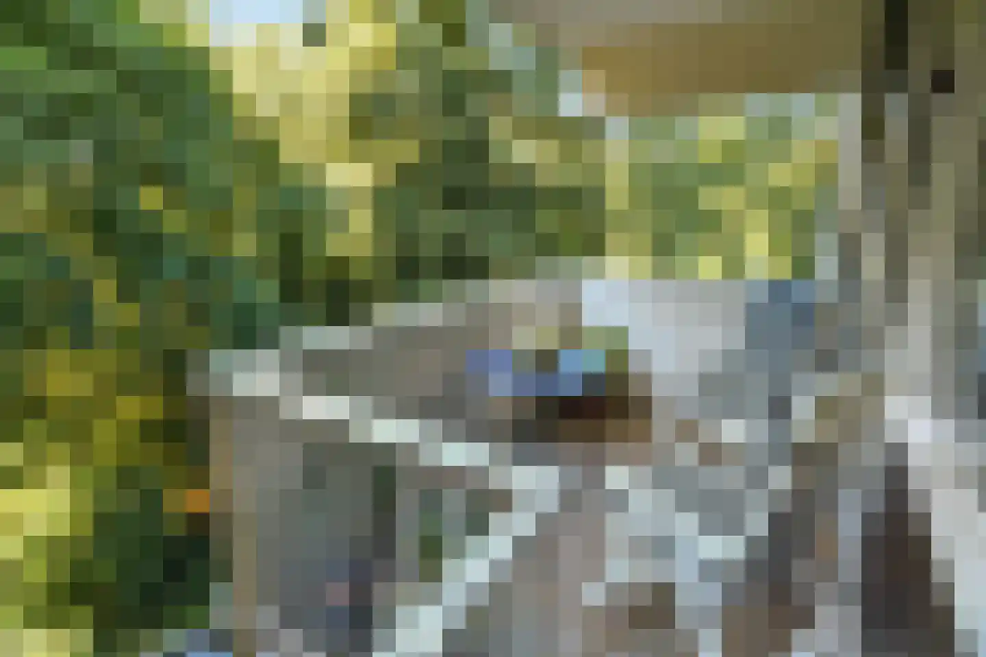 Reigersberg 15 Doorwerth thumbnail 22