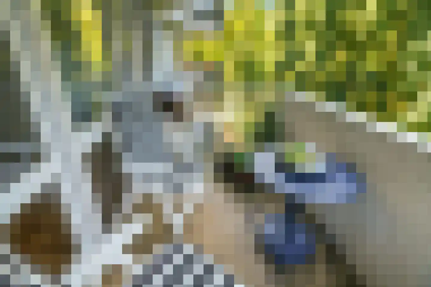 Reigersberg 15 Doorwerth thumbnail 24