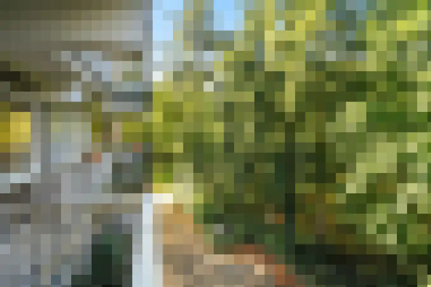 Reigersberg 15 Doorwerth thumbnail 25