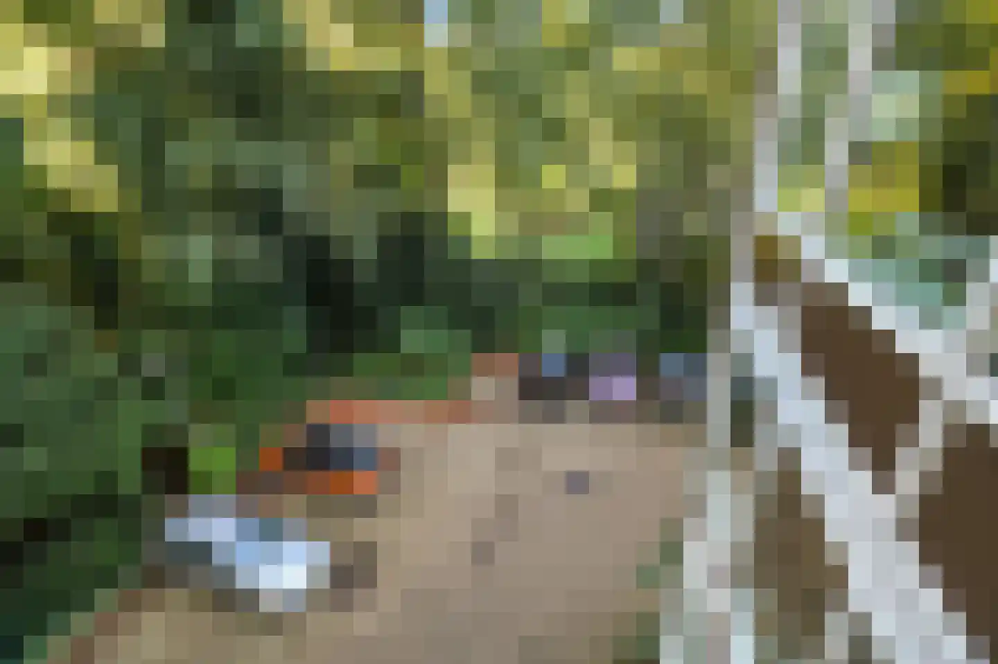 Reigersberg 15 Doorwerth thumbnail 26