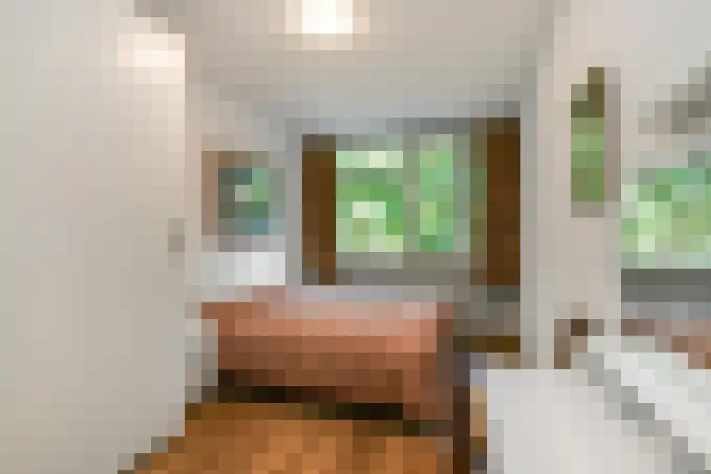 Reigersberg 15 Doorwerth thumbnail 30