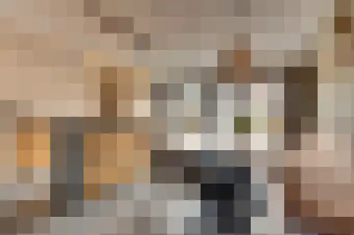 Reigersberg 5 Aagtekerke thumbnail 12