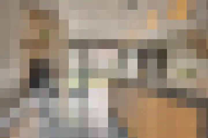 Reigersberg 5 Aagtekerke thumbnail 16