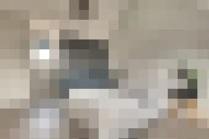 Reigersberg 5 Aagtekerke thumbnail 19