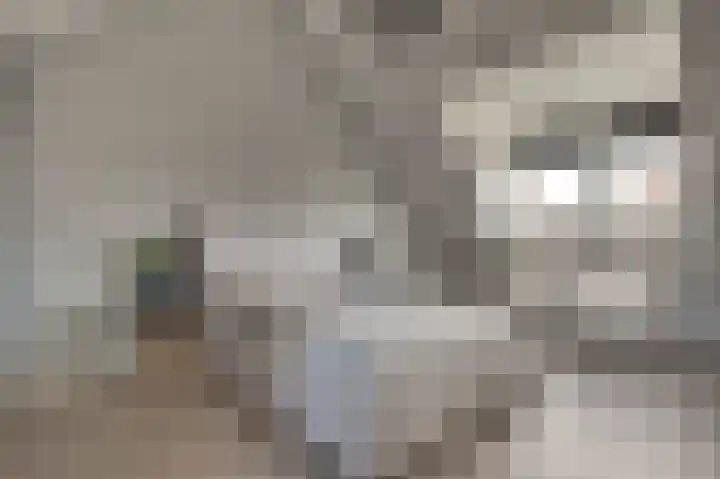 Reigersberg 5 Aagtekerke thumbnail 20