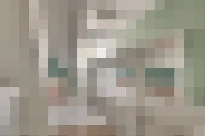 Reigersberg 5 Aagtekerke thumbnail 21