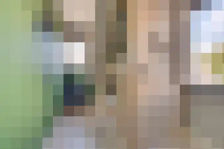 Reigersberg 5 Aagtekerke thumbnail 23