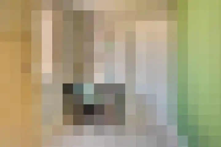 Reigersberg 5 Aagtekerke thumbnail 24