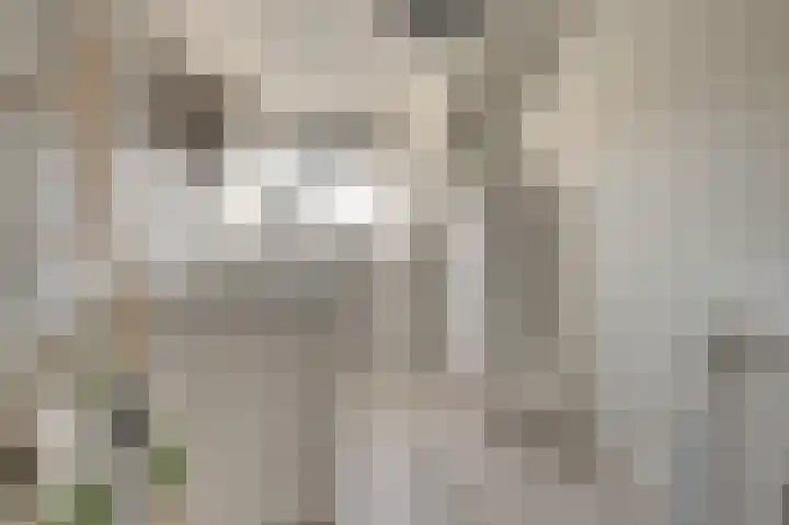 Reigersberg 5 Aagtekerke thumbnail 25
