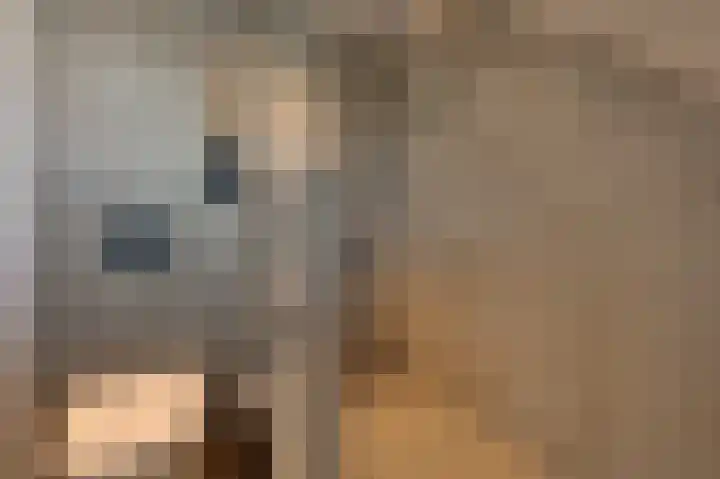 Reigersberg 5 Aagtekerke thumbnail 28