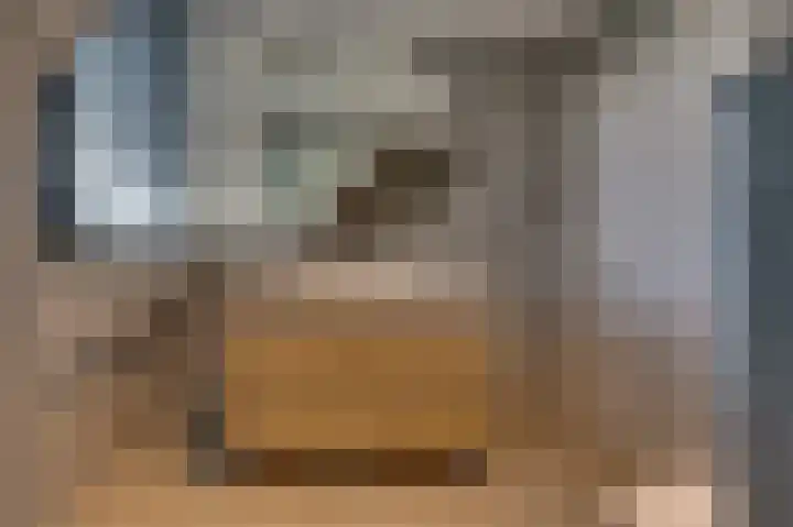 Reigersberg 5 Aagtekerke thumbnail 29