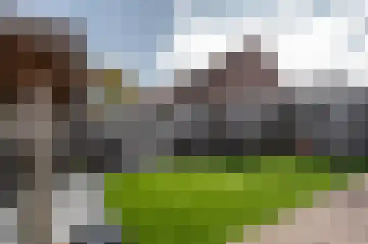 Reigersberg 5 Aagtekerke thumbnail 34