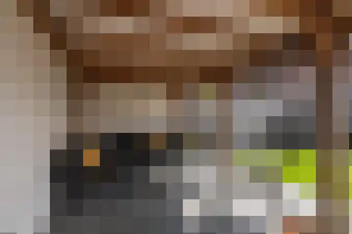 Reigersberg 5 Aagtekerke thumbnail 36