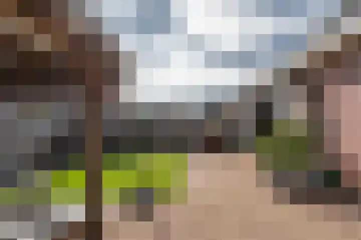 Reigersberg 5 Aagtekerke thumbnail 37