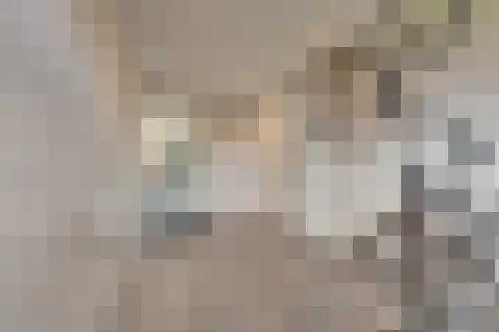 Reigersberg 5 Aagtekerke thumbnail 42