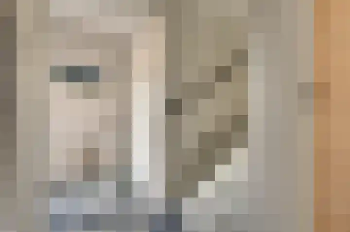 Reigersberg 5 Aagtekerke thumbnail 5