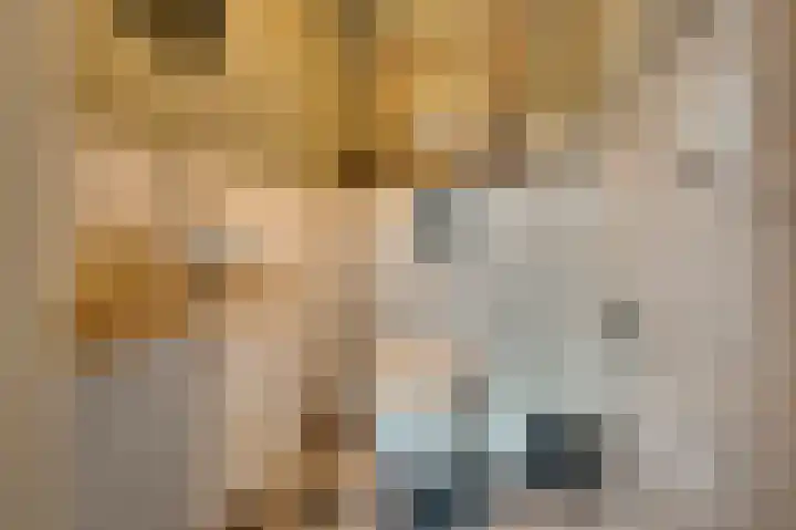 Reigersberg 5 Aagtekerke thumbnail 7