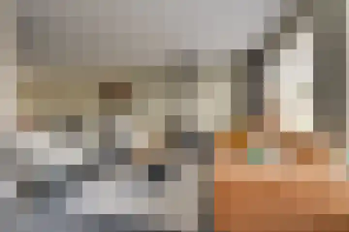 Reigersberg 5 Aagtekerke thumbnail 8