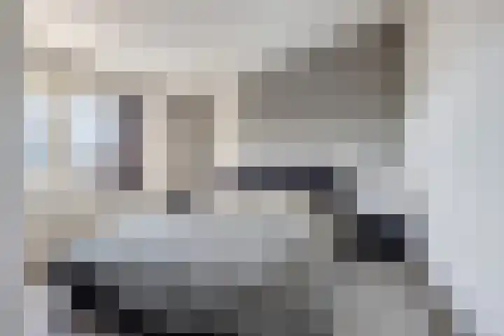 Reigersbergstraat 30 Rilland thumbnail 15