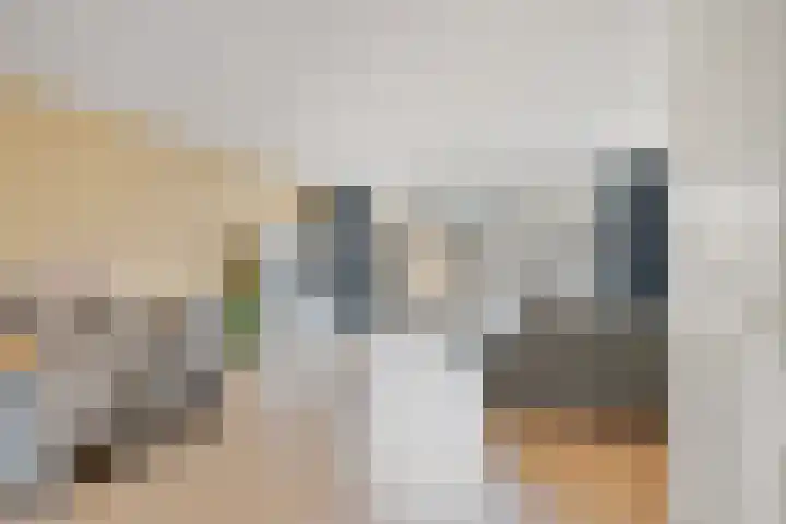 Reigersblauw 42 Zoetermeer thumbnail 10